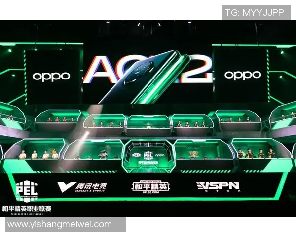 s15电竞总决赛和平精英战术RNG转换体系的深度解析与应用探讨